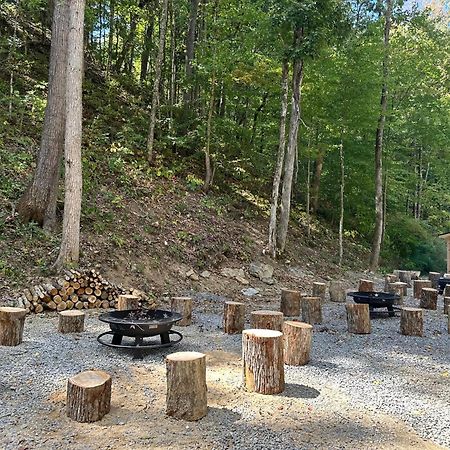 Cozy Cove Retreat W Lake View Hot Tub Firepit Dandridge Εξωτερικό φωτογραφία