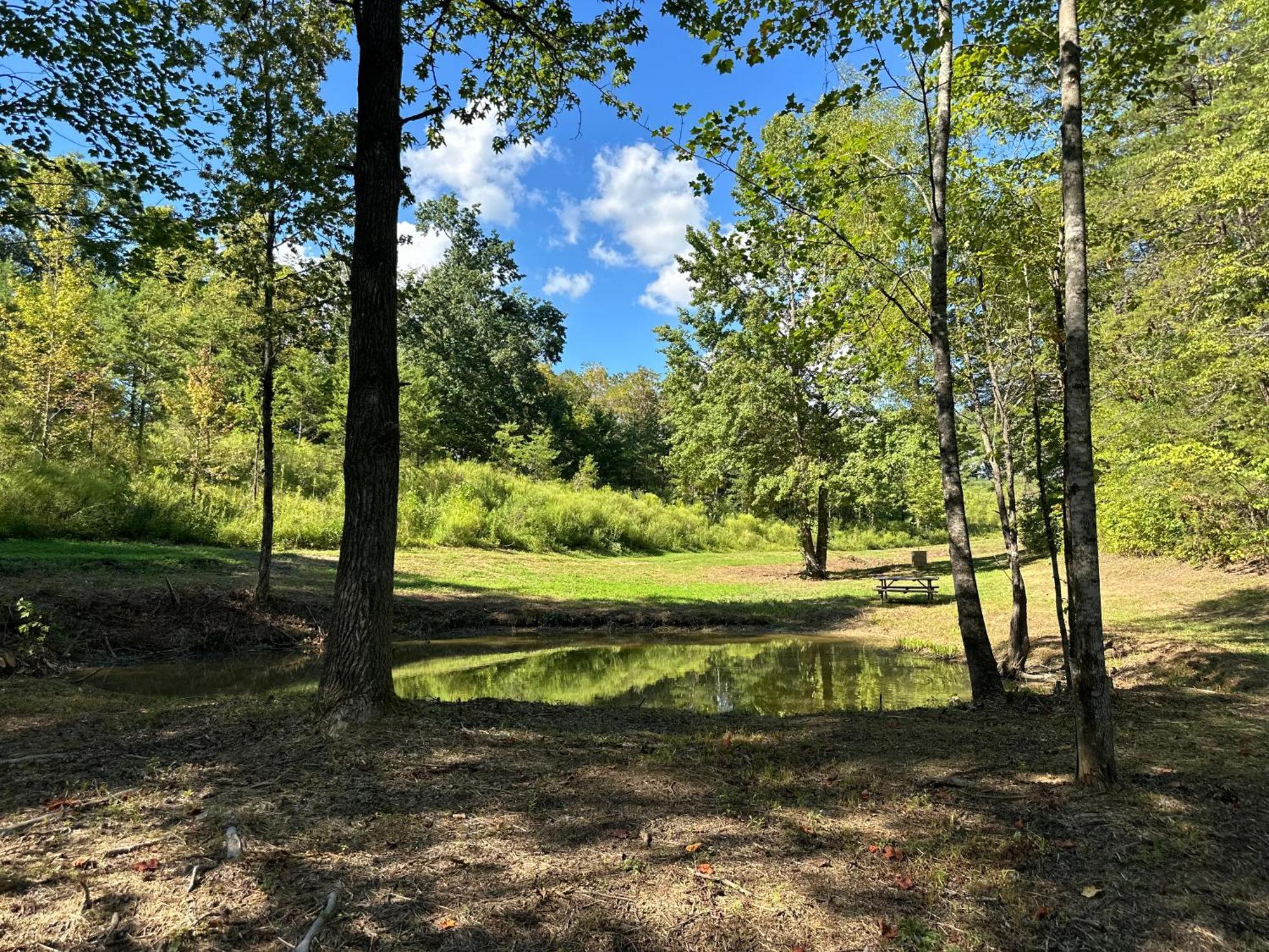 Cozy Cove Retreat W Lake View Hot Tub Firepit Dandridge Εξωτερικό φωτογραφία