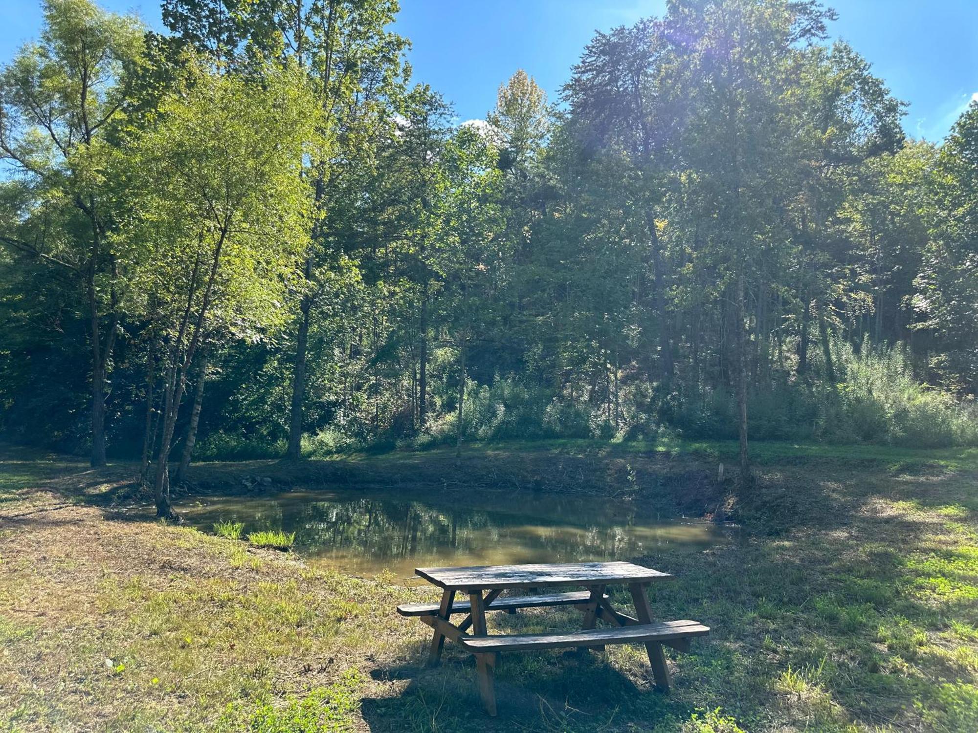 Cozy Cove Retreat W Lake View Hot Tub Firepit Dandridge Εξωτερικό φωτογραφία